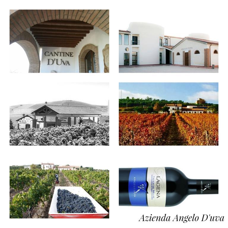 I Dolci Grappoli Villa Larino Buitenkant foto